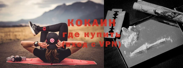 мдпв Вяземский