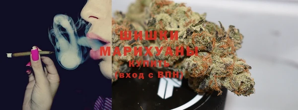 мдпв Вяземский