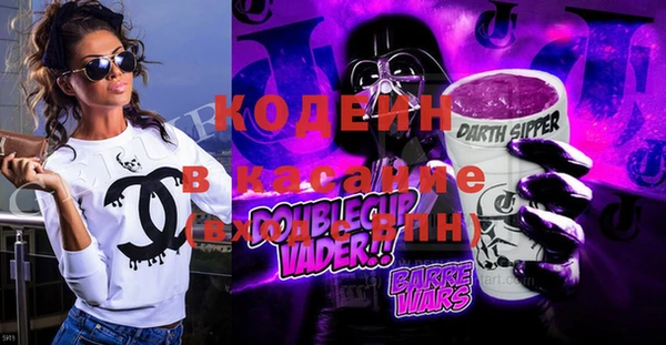 мдпв Вяземский