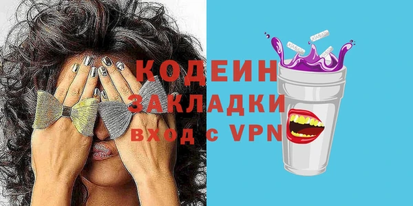 мдпв Вяземский