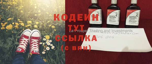 мдпв Вяземский