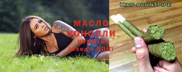 мдпв Вяземский