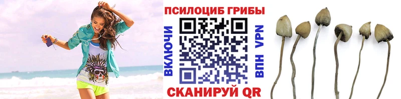 Галлюциногенные грибы мухоморы  Купить закладки  Киреевск 